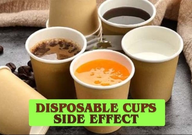 Health, Disposable Cup, Kulhad, Health News, disposable cups side effets, Disposable Cup Disadvantage,tea in plastic cups, plastic cups, plastic cup, disposable plastic cups, Disposable Items, Disposable Paper Cups, Hindi News