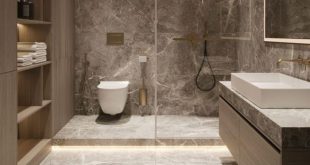 2888292 Vastu Tips For Bathroom (1)