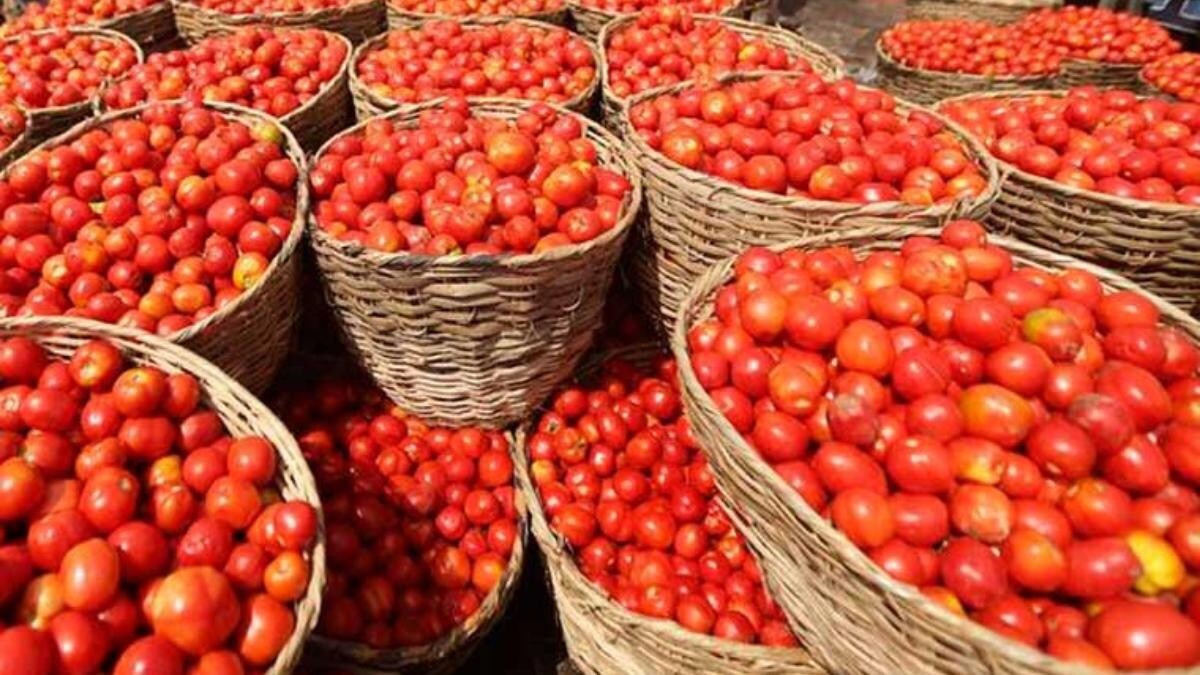 Tomatoes Tomato Market Fruit M