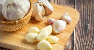 Garlic Freepik 1723253592