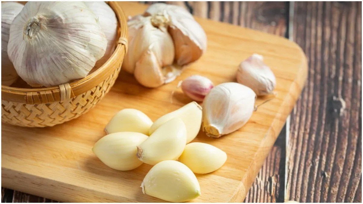 Garlic Freepik 1723253592