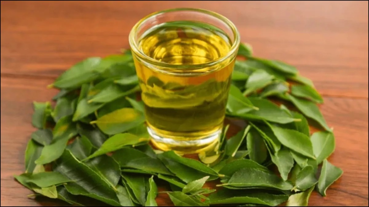 Curry Leaves Water 13 09 2024 17