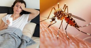 Dengue Symptoms 17 09 2024 17265