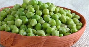 Green Chana Benefits 06 09 2024