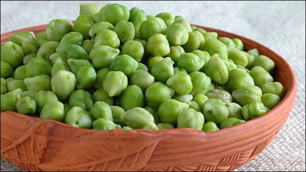 Green Chana Benefits 06 09 2024