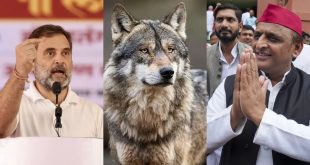 Wolf Sp Congress 1725790520