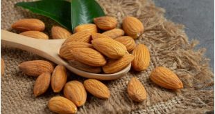 Almonds Freepik 1729155270