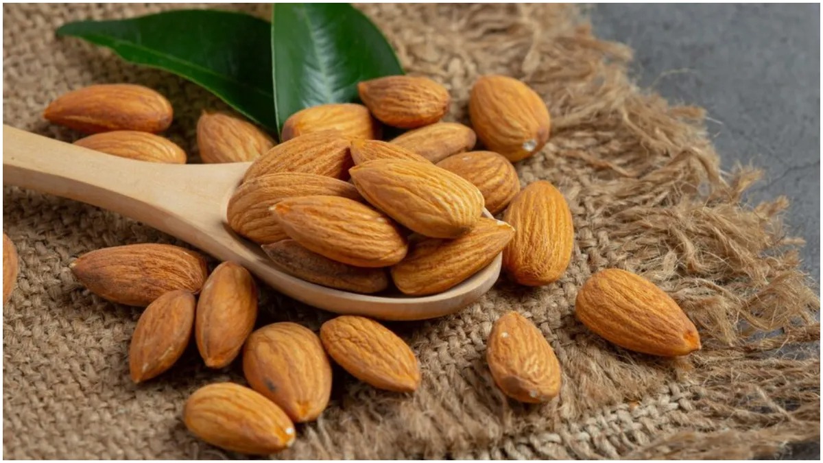 Almonds Freepik 1729155270