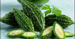 Karela Benefits Disease 11 10 20