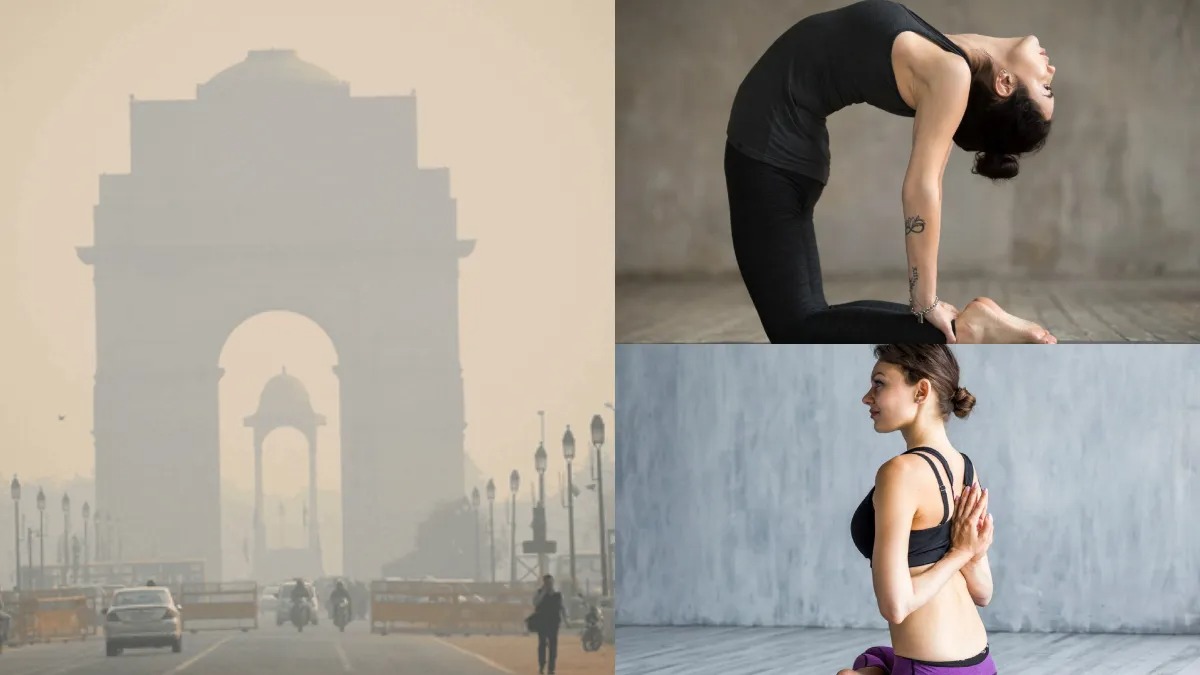 Yoga For Lungs Pollution 22 10 2