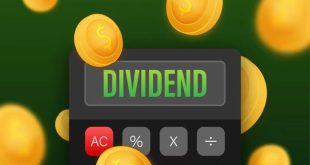 Dividend Freepik 1733977959