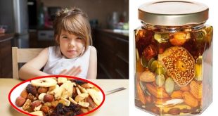 Dry Fruits Honey Kids 05 12 2024