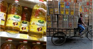 Edible Oil2 1733508129 (1)