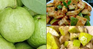 Guava Eating Tips 02 12 2024 173