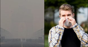 Pollution Effect Health 02 12 20