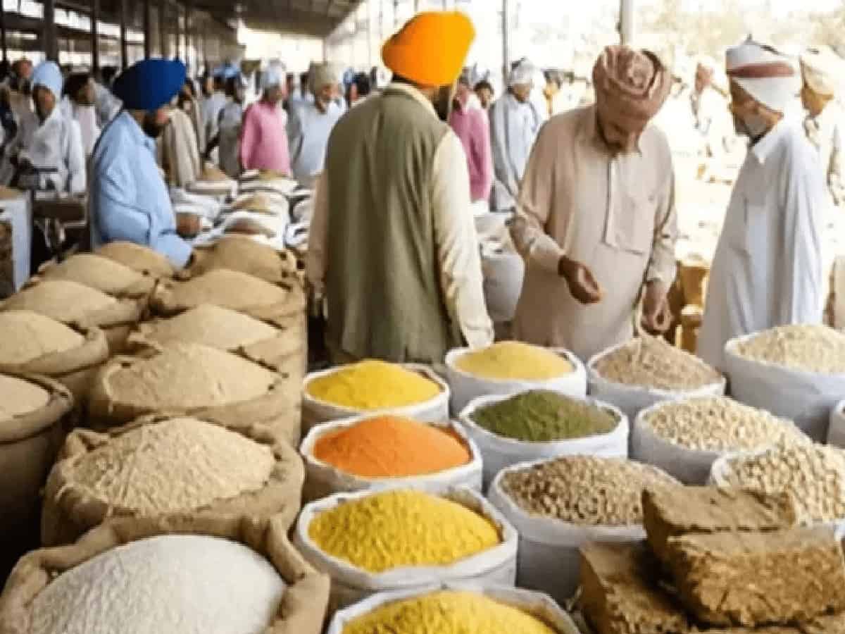 Latest Grain, Basmati, Pulses, and Cotton Rates in Khanna, Ludhiana, and Bathinda